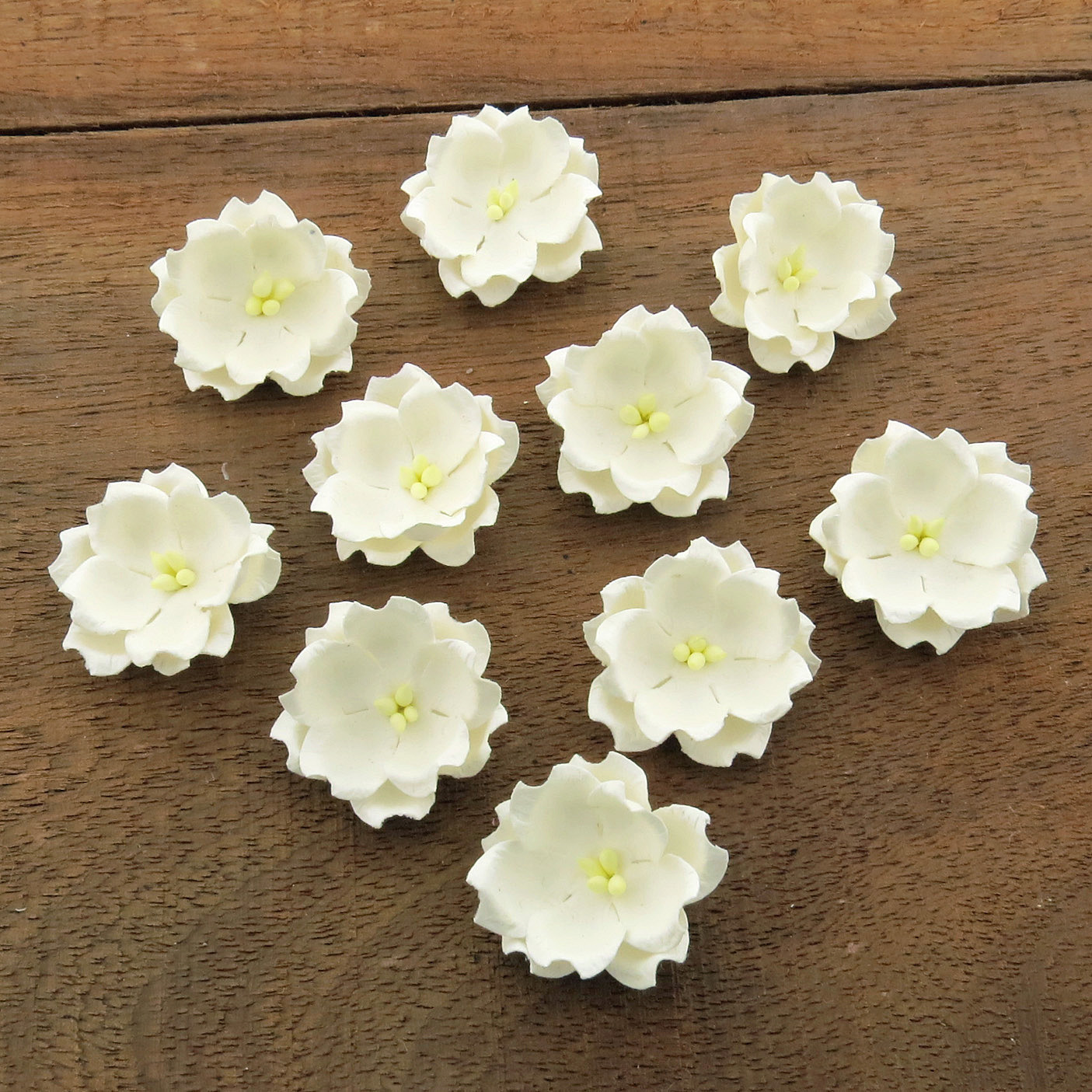 WHITE COTTON STEM MULBERRY PAPER FLOWERS - SET E